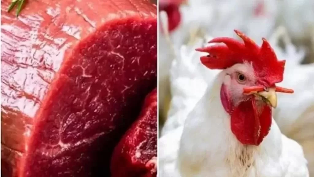 أسعار الدواجن واللحوم