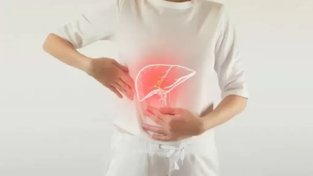 الكبد