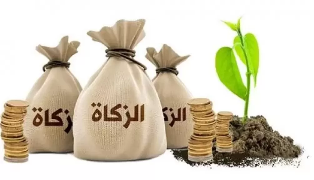زكاة المال