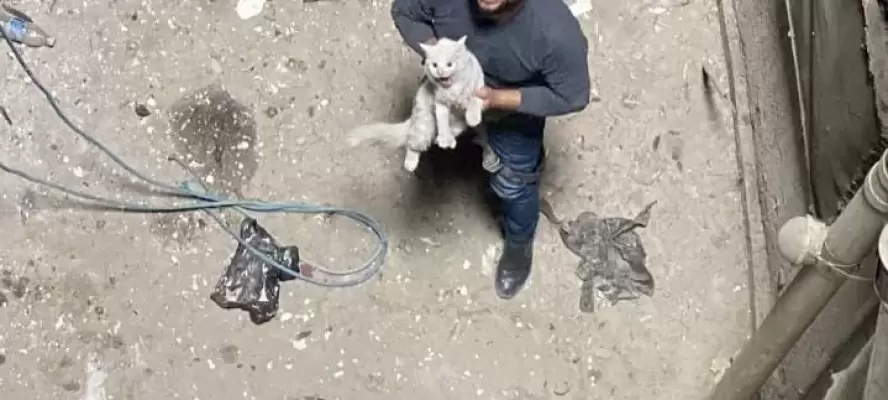 ”قصة إنقاذ تهز القلوب.. المهندس أحمد المقدم يعيد الحياة لقطة حُبست بين الدورين لأكثر من شهر”