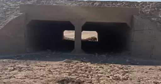 ضبط أحد الأشخاص لقيامه بإستخدام أحد التطبيقات للترويج لممارسة أعمال الفجور بالدقهلية