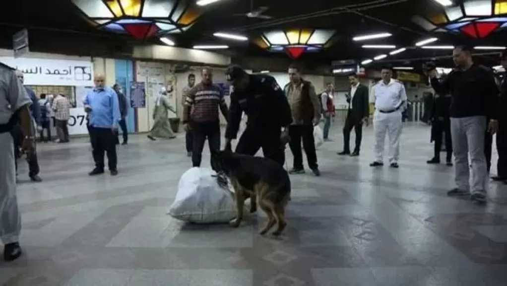 50 مليون دولار فدية لتحرير رهينتين إماراتيين في مالي