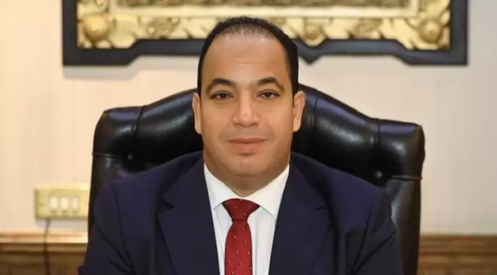 الدكتور عبد المنعم السيد، مدير مركز القاهرة للدراسات الاقتصادية والاستراتيجية