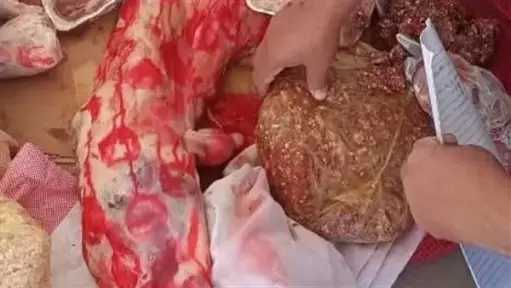 تحرير 2532 محضرًا تموينيًا خلال حملات موسعة بأسيوط