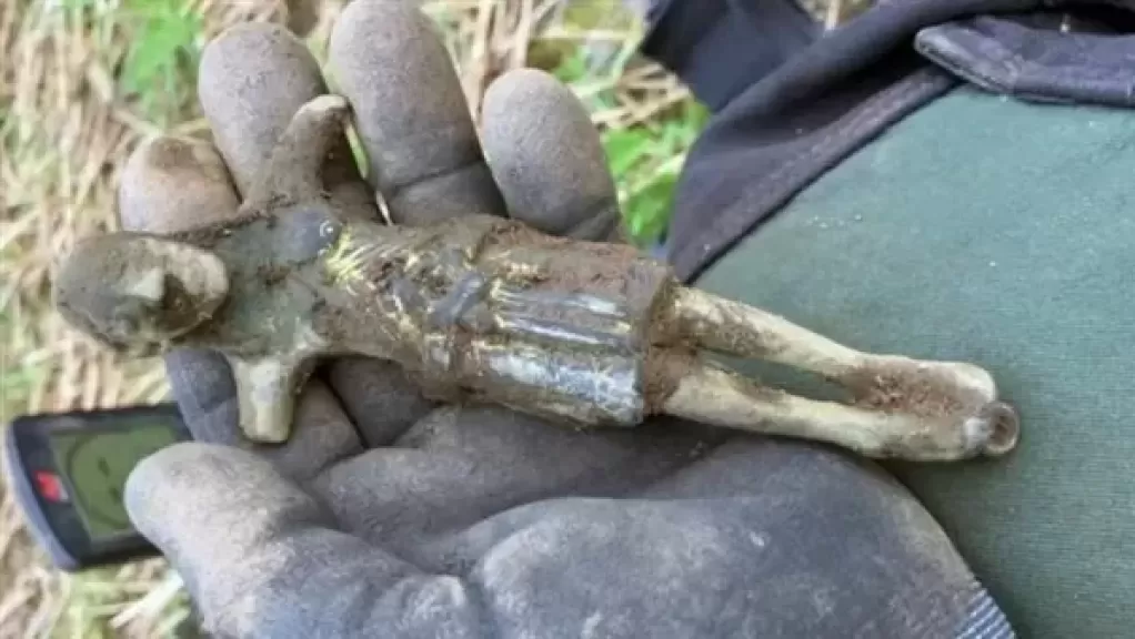 صورة موضوعية