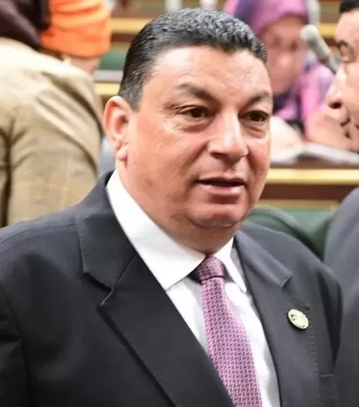 سامي نصر الله عضو لجنة الصناعة بمجلس النواب