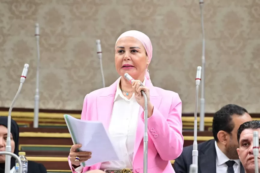 النائبة أمل سلامة، عضو مجلس النواب