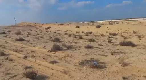 صرخة على مكتب الدكتورة جاكلين عازر.. أرضي ضاعت بين وزارة الزراعة والمحافظة