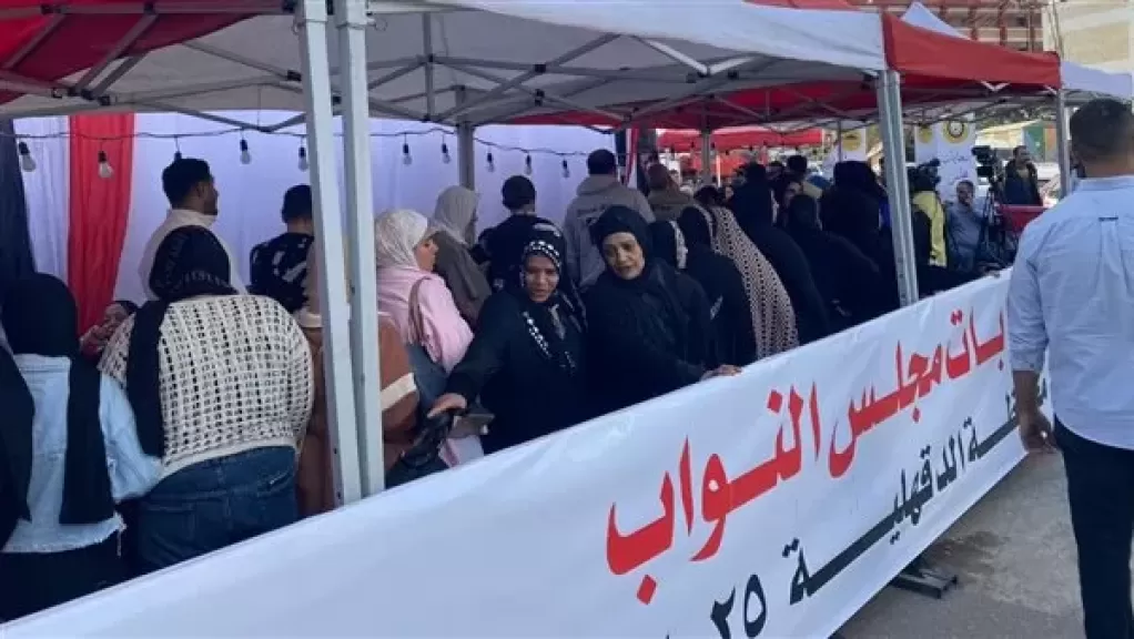 إنتخابات مجليس النواب