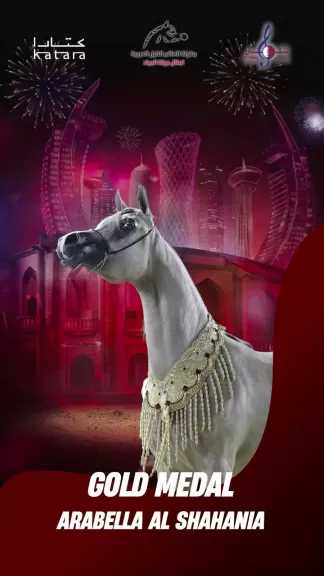 مهرجان الخيول عالميًا في الدوحة