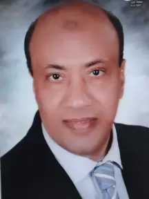 القطط والكلاب بالشوارع تحتاج الرحمة وليس استغلالهم التربح القطط والكلاب بالشوارع تحتاج الرحمة وليس استغلالهم التربح