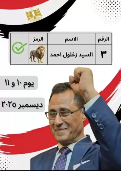 المهندس السيد زغلول 