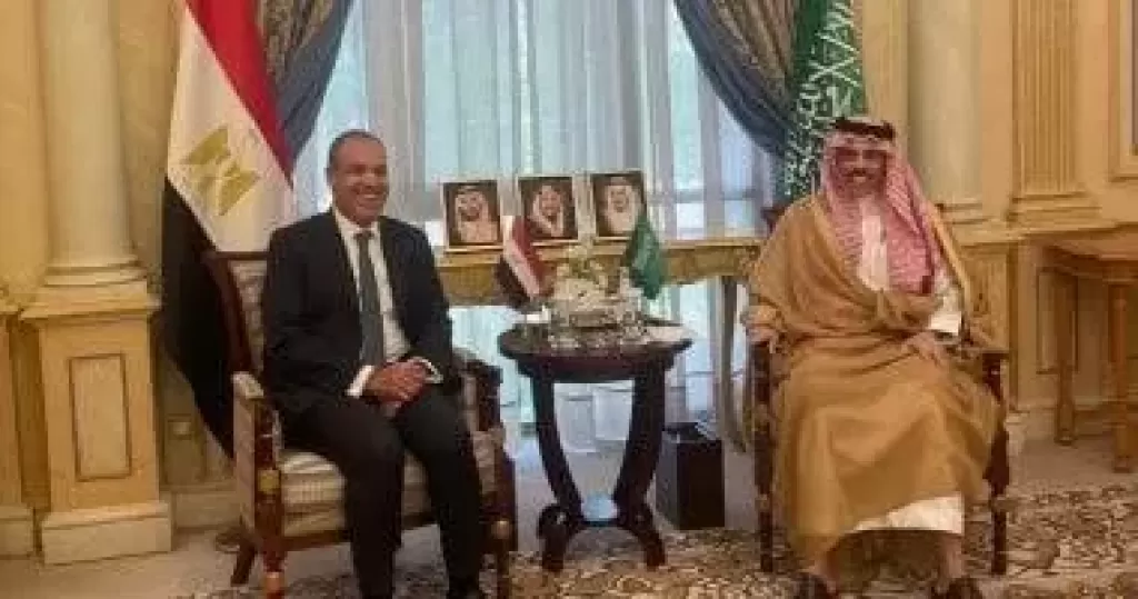 وزير الخارجية ونظيره السعودي