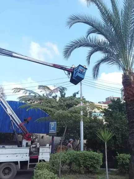 حملات موسعة لرفع كفاءة وصيانة أعمدة وكشافات الإنارة بدمنهور