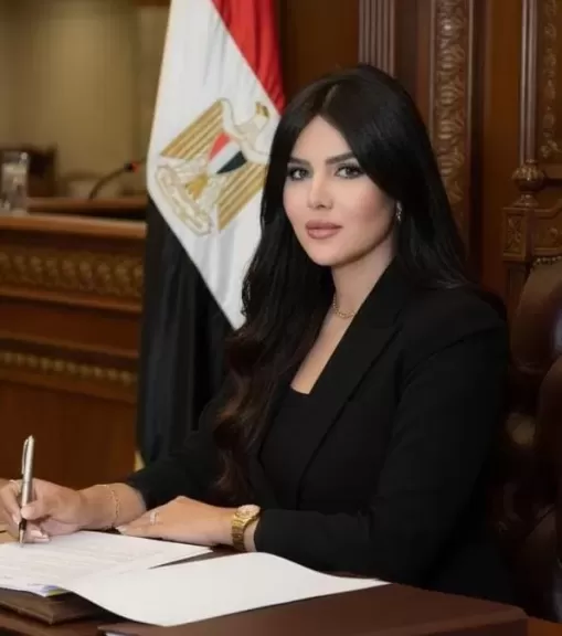 النائبة الدكتورة ريهام أبو الحسن