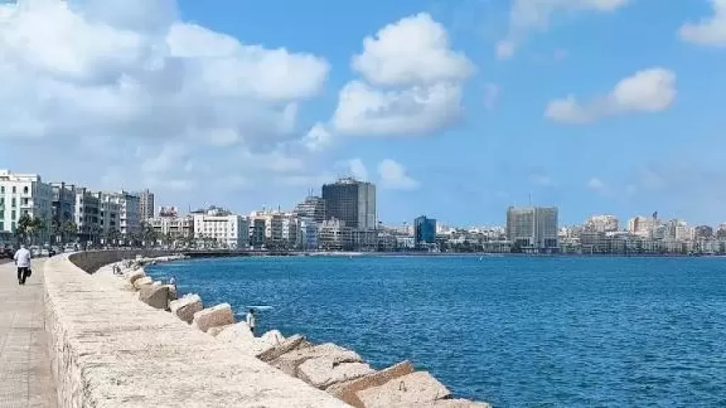 إزالة رديم بالإسكندرية