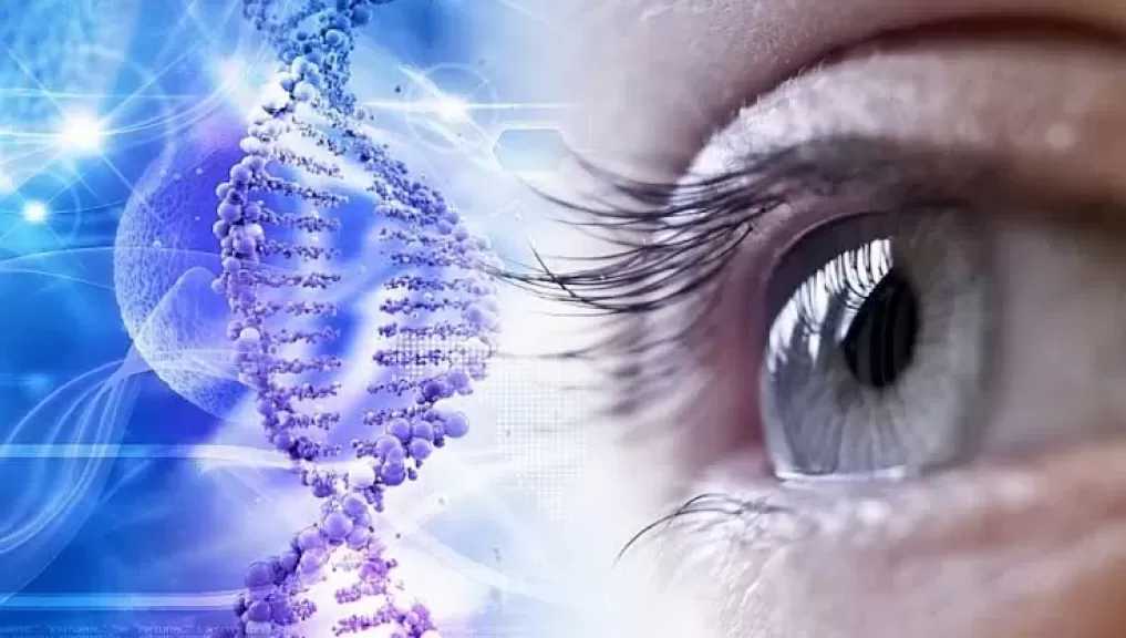 بالذكاء الاصطناعي.. باحثون يكشفون تطورات تشخيص الاضطرابات الوراثية في العين