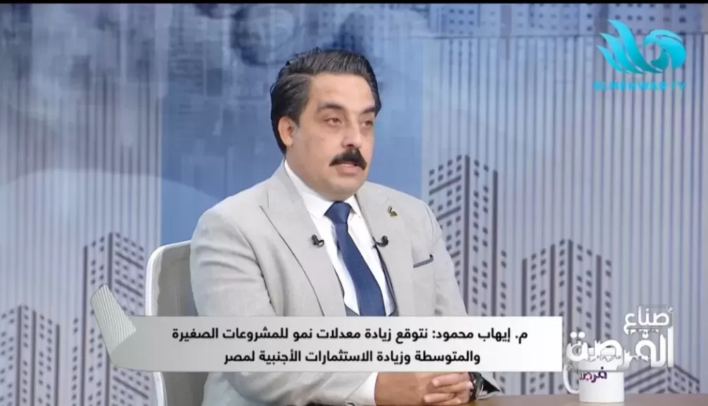 المهندس إيهاب محمود الخبير الاقتصادي 