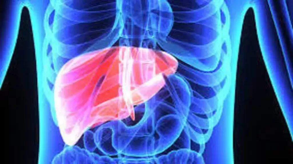 صحة الكبد