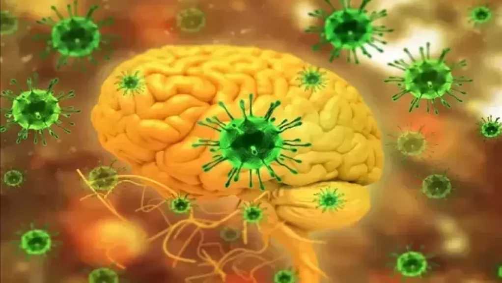 معدل وفياته 75%.. هل يصل فيروس نيباه إلى مصر؟| خاص