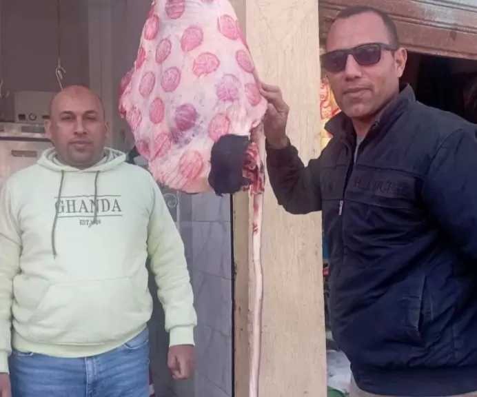 تحرير 3 محاضر سلع مجهولة المصدر بدون فواتير ومحضر ذبح خارج السلخانة بالبحيرة