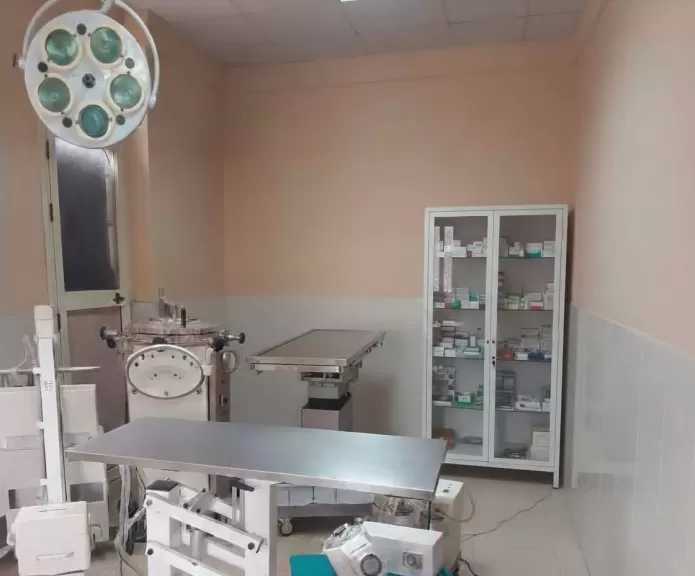 جامعة الإسكندرية تفتتح عيادات بيطرية متكاملة لدعم المجتمع والأمن الغذائي