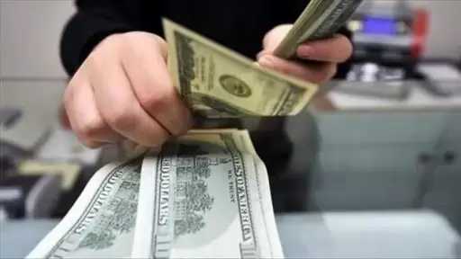 قفزة غير مسبوقة في تحويلات المصريين بالخارج تعزز قوة الاقتصاد الوطني