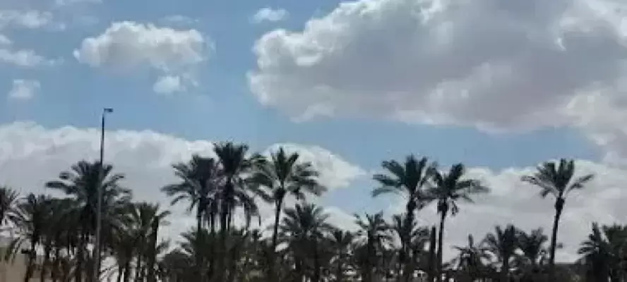الطقس غدا.. تحسن فى الأحوال الجوية وشبورة وسحب منخفضة على بعض المناطق
