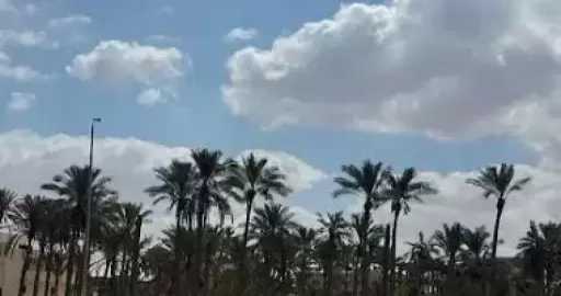 الطقس غدا.. تحسن فى الأحوال الجوية وشبورة وسحب منخفضة على بعض المناطق