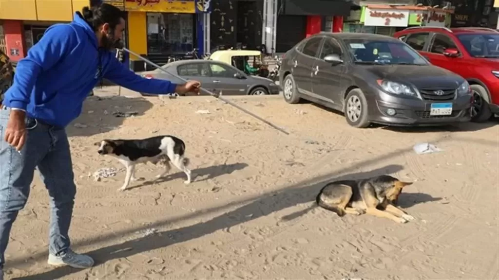 تحصين الكلاب