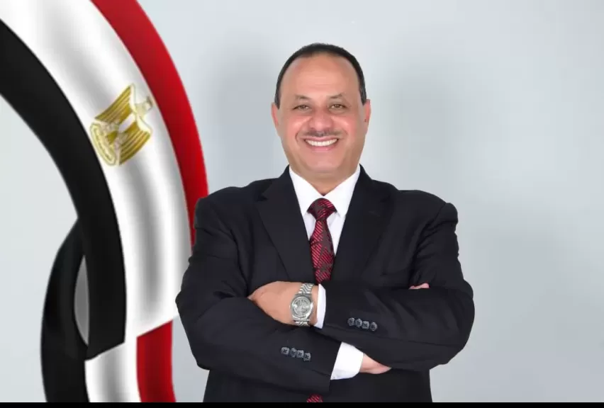 رشاد عبدالغني، الخبير السياسي