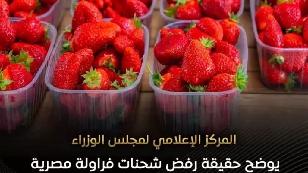 مجلس الوزراء ينفي رصد فراولة مسرطنة بالأسواق المصرية