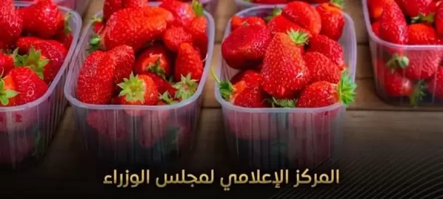 مجلس الوزراء يوضح حقيقة إنتشار فراولة مسرطنة بالأسواق المصرية