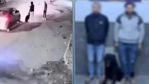 كشف ملابسات فيديو البلطجة في البحيرة.. وضبط المتهمين