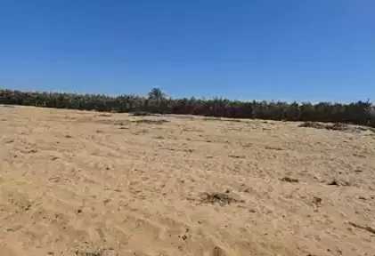 صرخة إلى وزير الداخلية: تعدٍ صارخ على أراضي أبناء الغربية بوادي النطرون