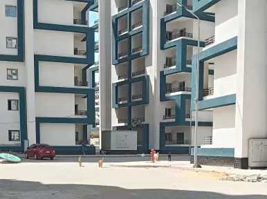 شقق صندوق التنمية الحضارية بالمنصورة تتحول لمأوى للكلاب بسبب عناد المسؤولين مع الملاك