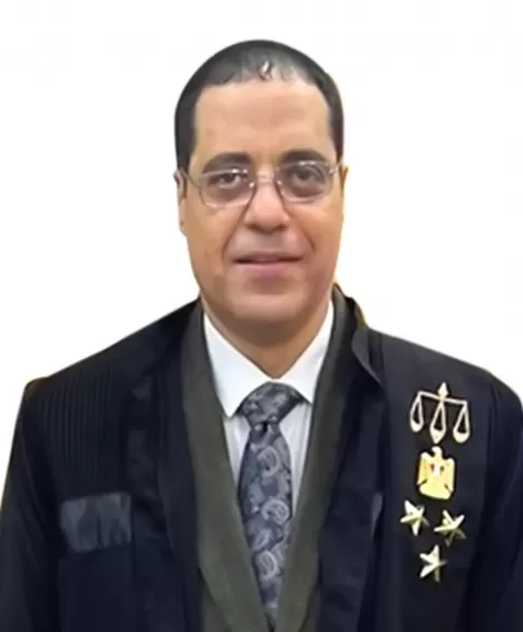 المستشار محمد حسن