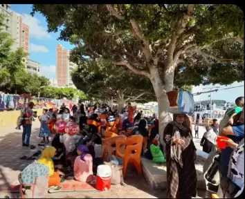 فسيخ وسردين مملح ورنجة .. شم النسيم في قناطر إدفينا بالبحيرة حكاية تانية
