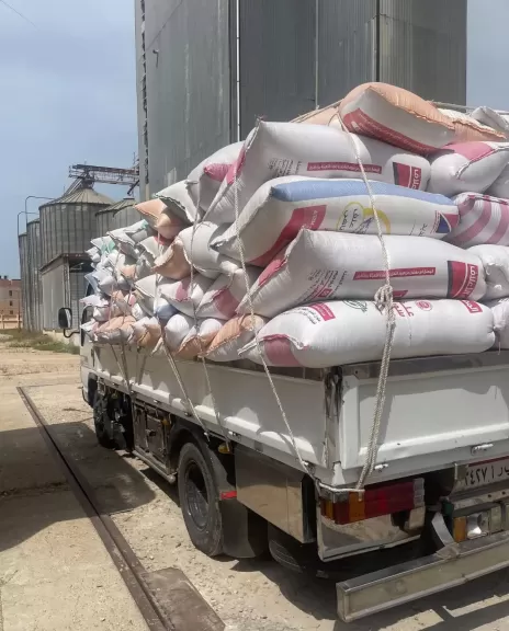 توريد القمح بالبحيرة