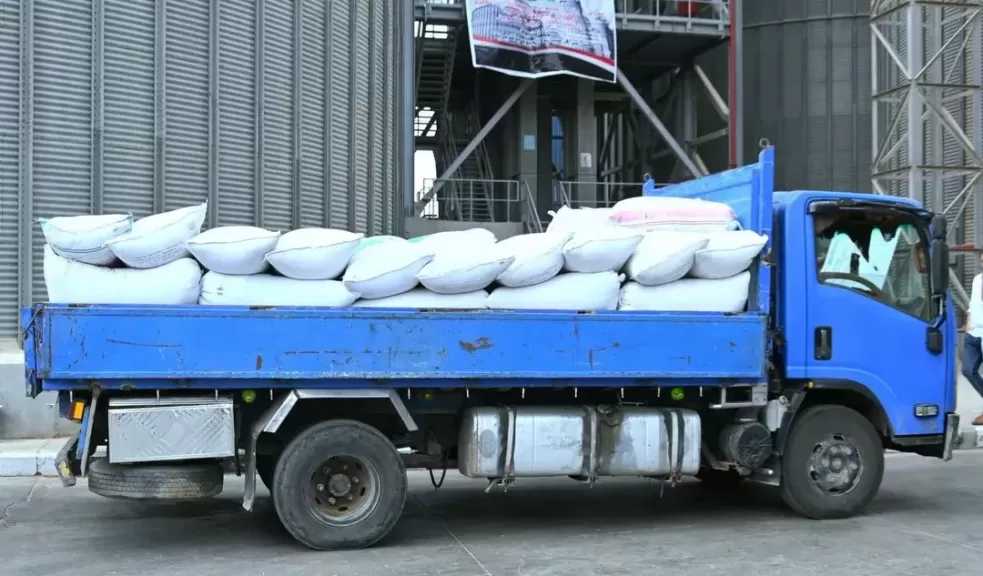 وسط تسهيلات للمزارعين.. توريد أكثر من 910 طن قمح بشون وصوامع البحيرة وانتظام كامل بمنظومة الاستلام