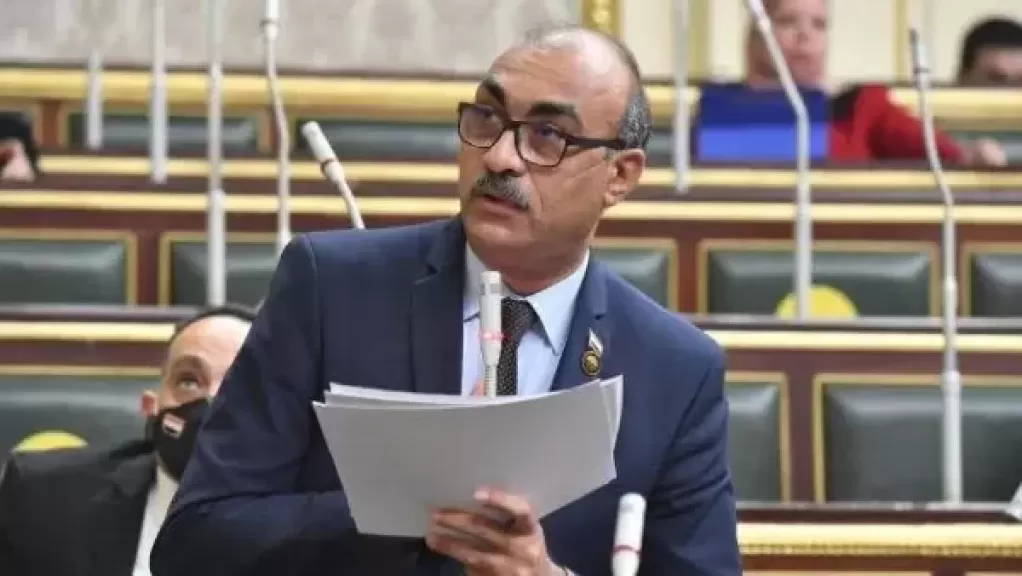 النائب إيهاب منصور، وكيل لجنة القوى العاملة بمجلس النواب