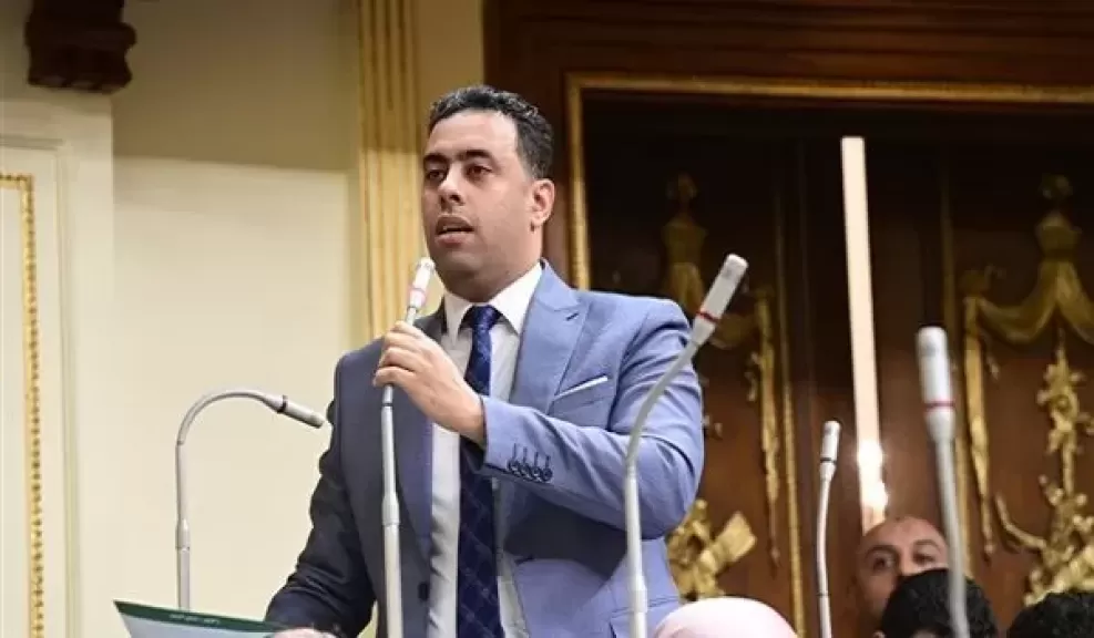 النائب أحمد فرغلي، عضو مجلس النواب