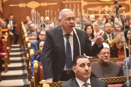المصريين الأحرار: أمن الكويت جزء لا يتجزأ من الأمن القومي العربي.. ونرفض أستهداف استقرار الخليج