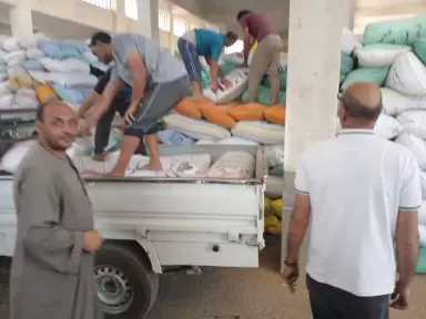 توريد 238468 طنًا من القمح ...انتظام أعمال الإستلام بالشون والصوامع بالبحيرة