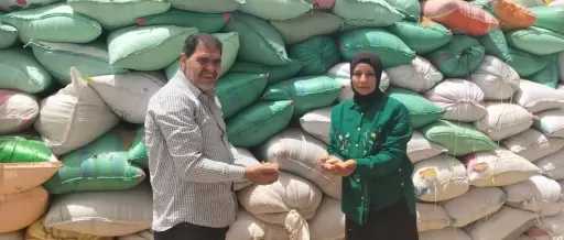 حملات مكثفة لمتابعة توريد الأقماح وصيانة الحبوب بالبحيرة خلال موسم 2026