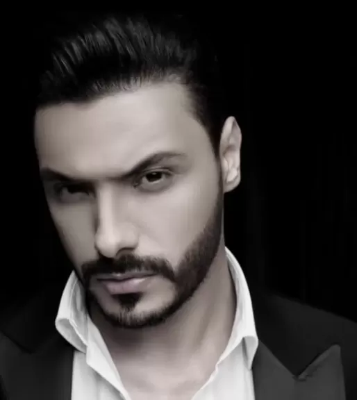 محمد خدام-فن