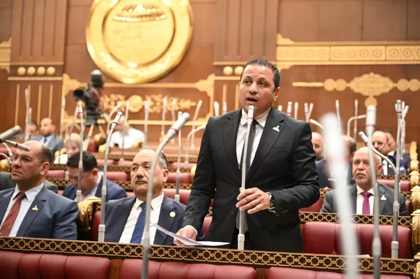 النائب عادل السكري، عضو مجلس الشيوخ