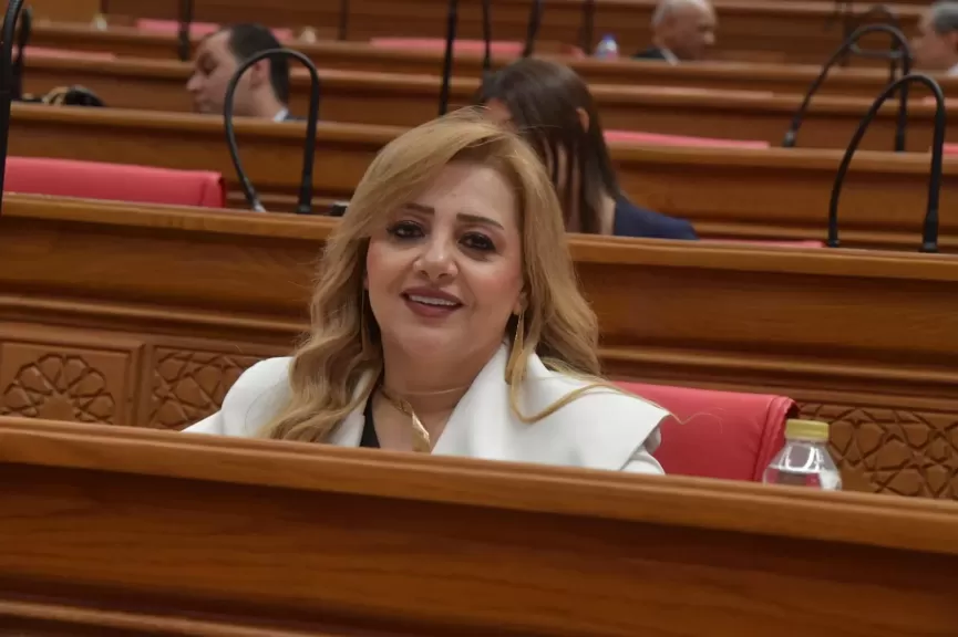 النائبة هبة غالي، عضو مجلس النواب
