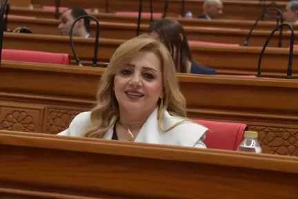 أول تحرك برلماني لمواجهة انتشار ”الكلوزابين” بين الشباب.. النائبة هبه غالي: طلب إحاطة للحكومة بشأن مخاطر الدواء القاتلة