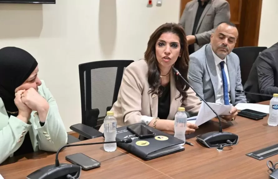 النائبة رانيا الشيمي عضو مجلس النواب